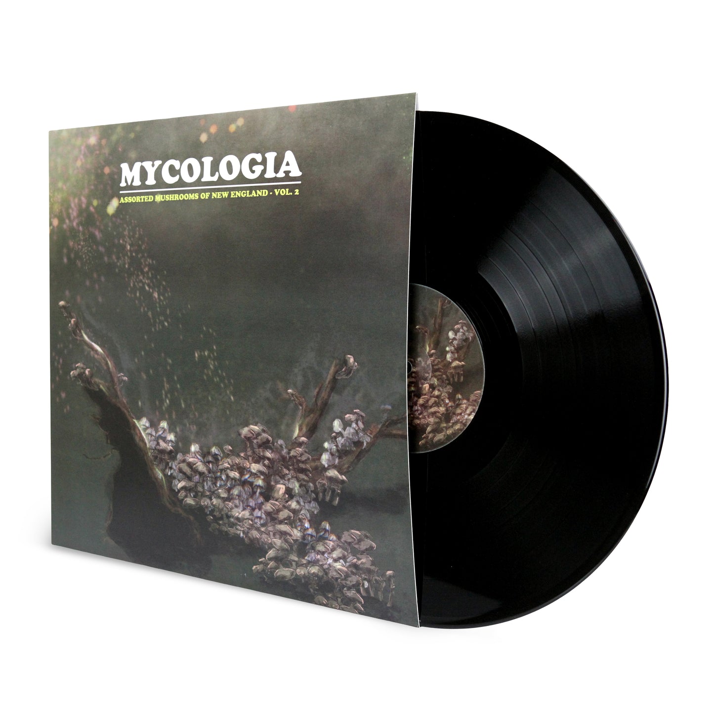 MYCOLOGIA - Assorted Mushrooms of New England (Vol.2) LP