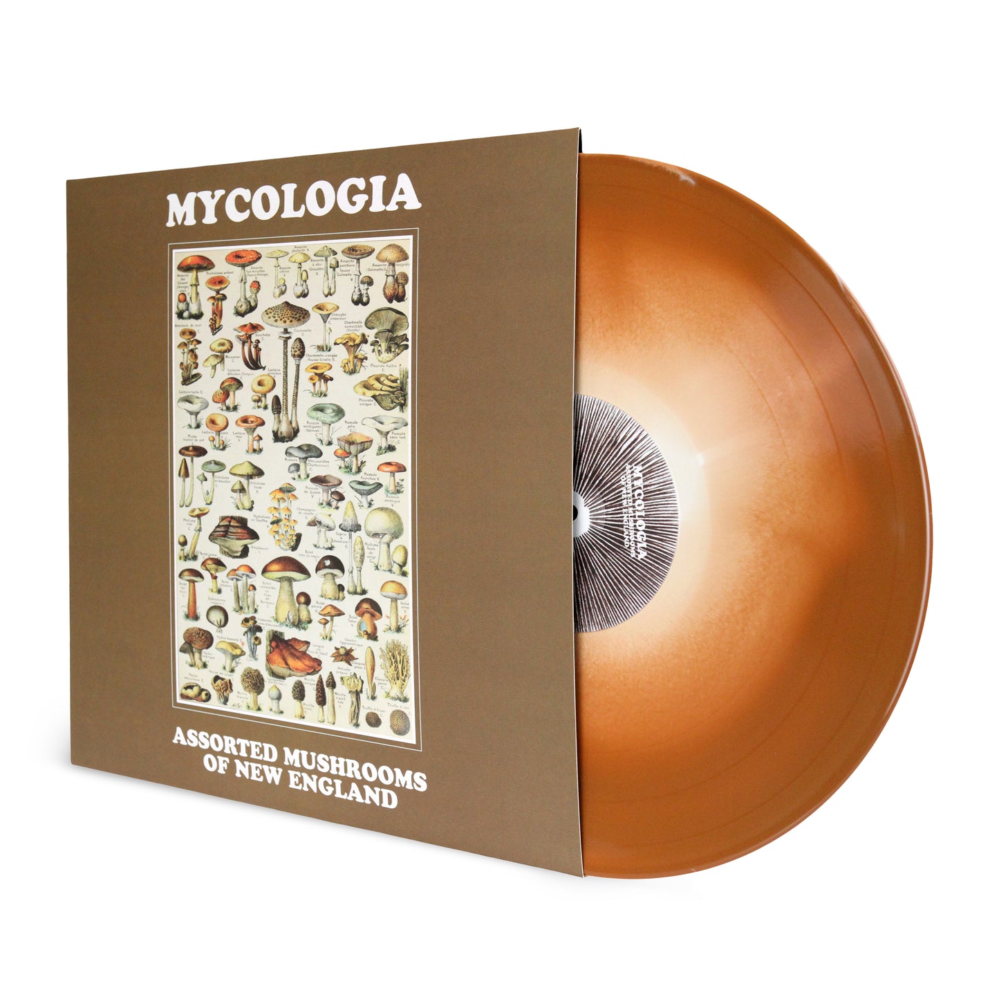 MYCOLOGIA - Assorted Mushrooms of New England LP