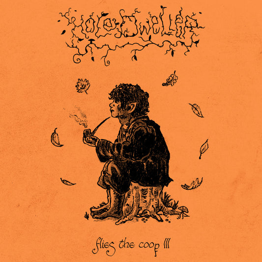 HOLE DWELLER - Flies the Coop III LP