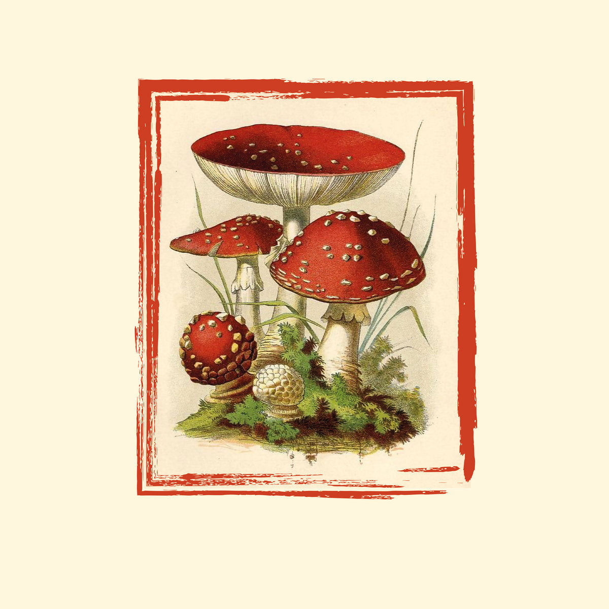 AUTUMN MUSHROOM SYNTH vinyl bundle