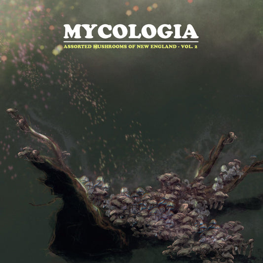 MYCOLOGIA - Assorted Mushrooms of New England (Vol.2) LP