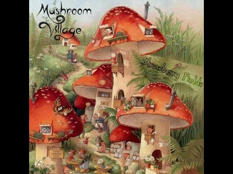 Fairy Dust – Mushroom Street Farms