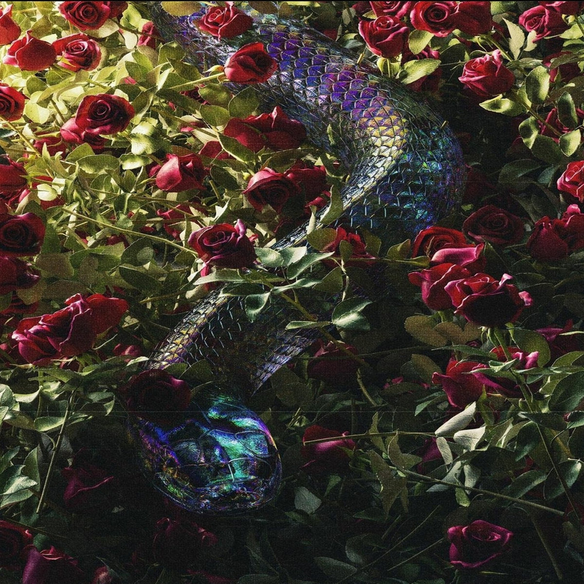 WINTERQUILT - O'discordia LP